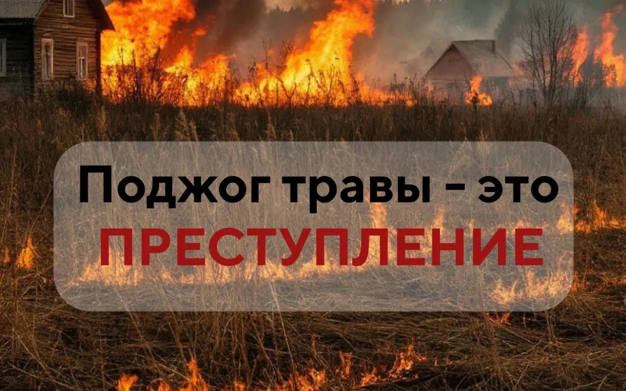23 марта в Туртапке неизвестные подожгли сухую траву